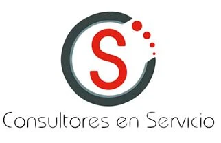 Consultores en servicios