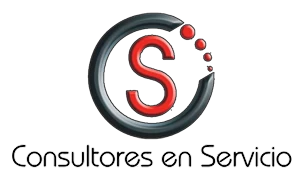 Consultores en servicios